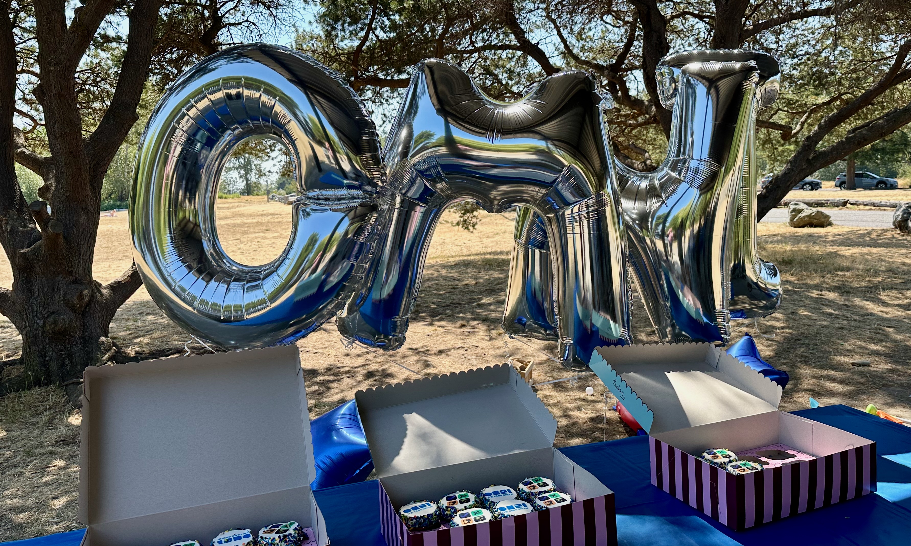 A photo of balloons and cupcakes at our annual Omni picnic